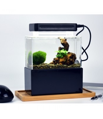 Petit Aquarium de bureau USB 5l, éclairage LED + pompe à eau + éponge  filtrante + Air/oxygène réglable, Mini bol de poisson de bureau