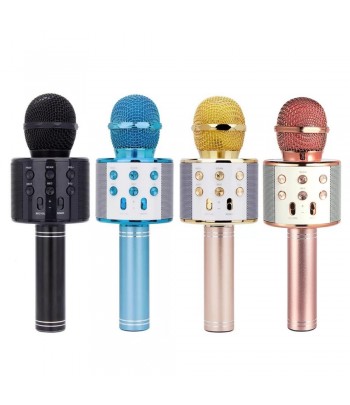 marque generique - Accessoires de microphone sans fil en plastique  classique faux jouet de poche micro noir - Accessoires micros - Rue du  Commerce